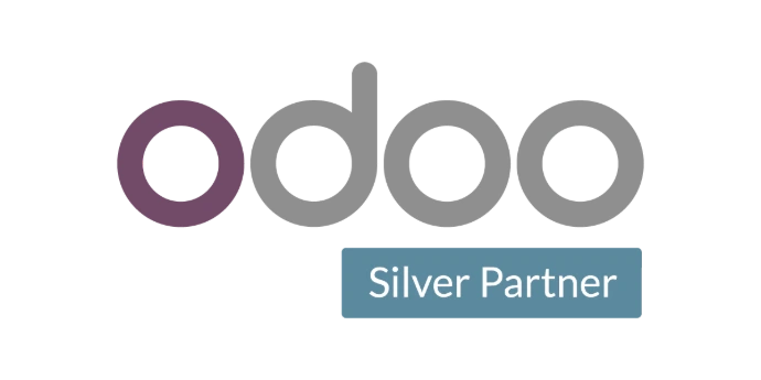 Odoo ERP Partner in Egypt & Saudi Arabia